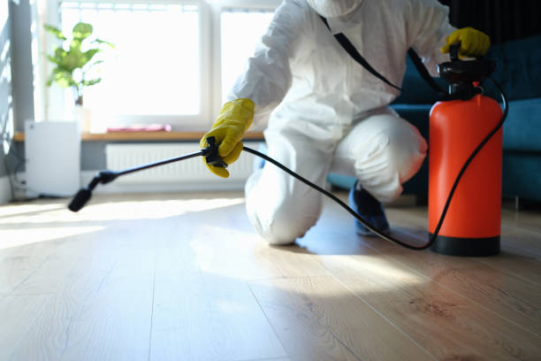 Reliable Odor Removal contractor in Elbe, WA by Trauma Clean Pros